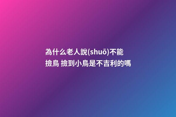 為什么老人說(shuō)不能撿鳥 撿到小鳥是不吉利的嗎